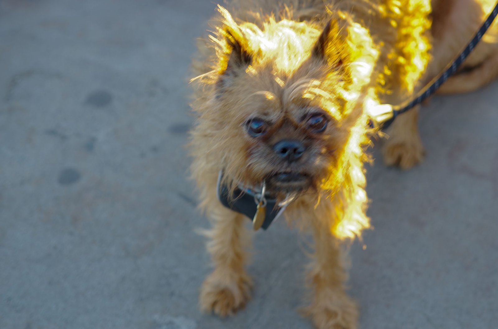 Griffith Observatory  063